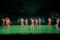 Tropical Island 9D 53